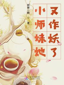 新婚告急：新婚弃妻（全本）