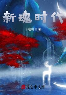 再生缘：我的总统大人