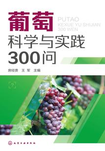 魔兽争霸之王者天下