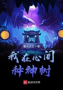 鼎贼