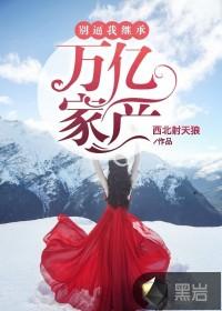 异世之轻风落雪