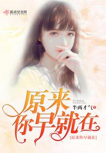 侠客之风云