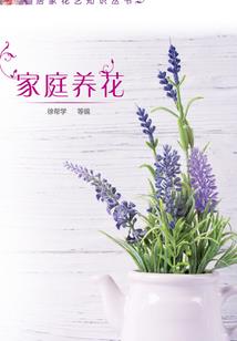 桃剑笑春风