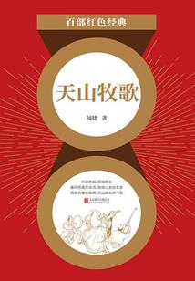 神奇宝贝之闪耀