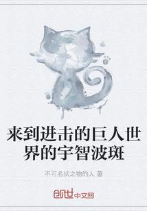 巅峰组织