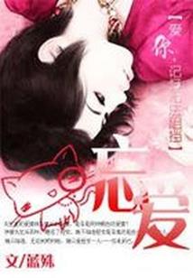 梦回之我为教皇