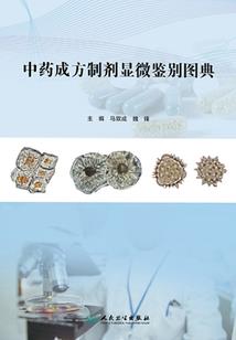 如花一般的安吉莎聃