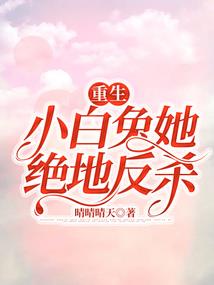 重生追爱豆